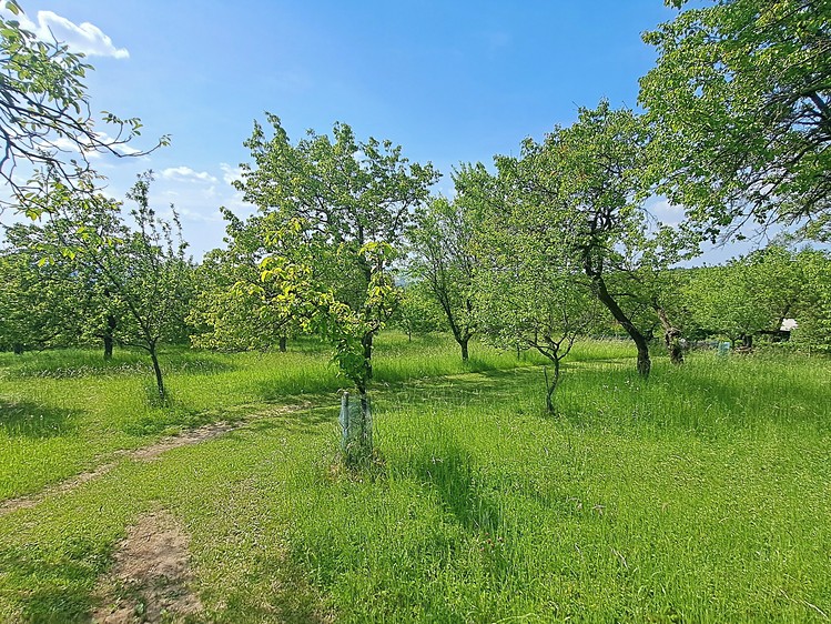Ostatní