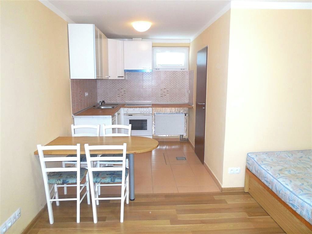 Pronájem bytu 1+kk 21 m² – fotografie 4