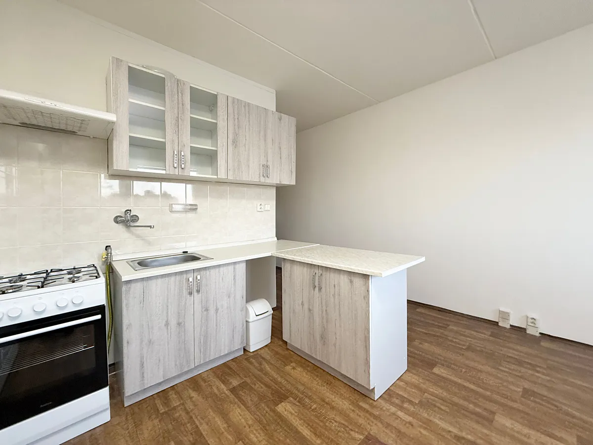 Pronájem bytu 1+1 35 m²