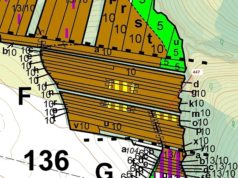 Dražba lesa 1989 m², Hradčany-Kobeřice – náhled fotky 3
