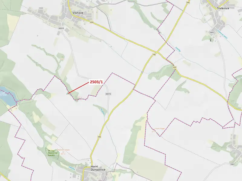 Dražba lesa 164 m², Horní Dunajovice – náhled fotky 1