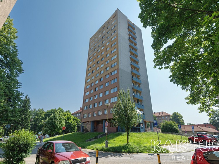 Pronájem bytu 3+kk, 59 m² (17 z 22)