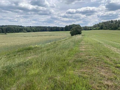 Grundstück zum Kauf, 2.087 m² (3 von 7)