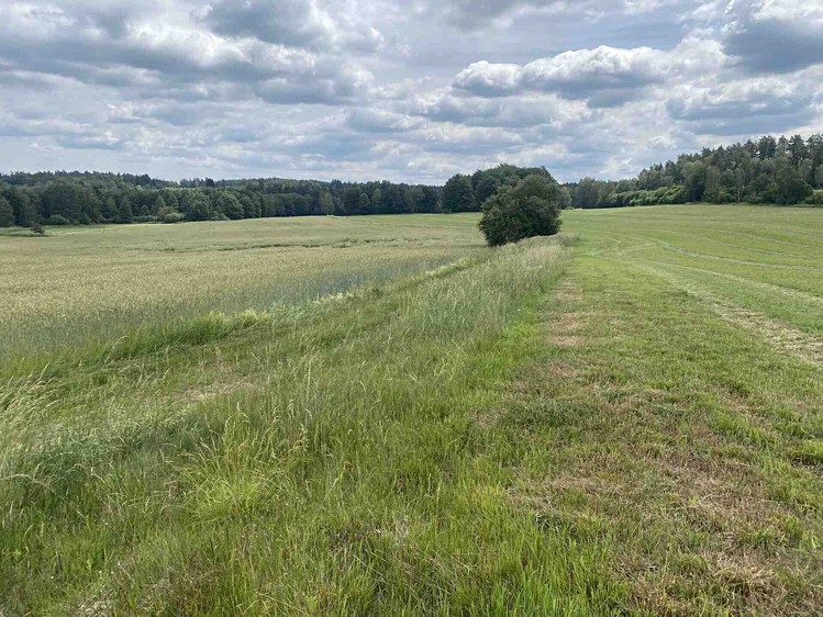 Grundstück zum Kauf, 2.087 m² (3 von 7)