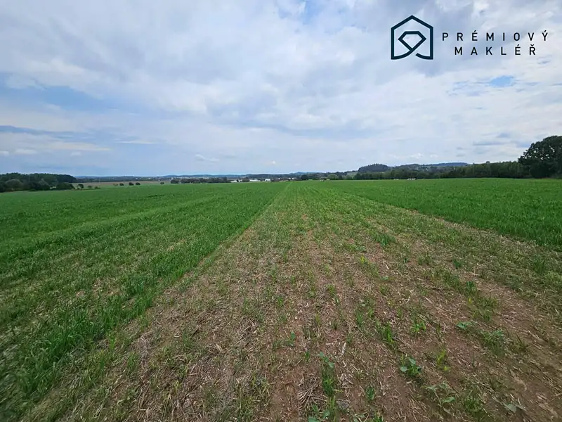 Prodej pole 4161 m², Kasejovice – náhled fotky 3