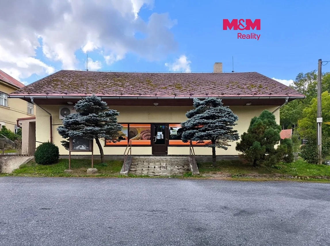 Pronájem obchodního prostoru 198 m²