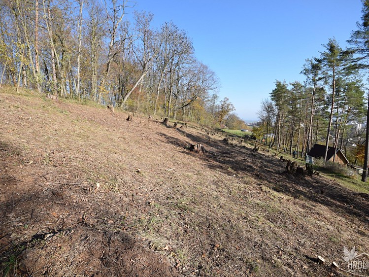 Prodej pozemku, 2 338 m² (20 z 22)
