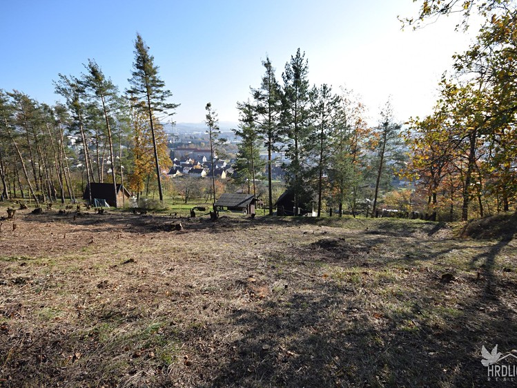 Prodej pozemku, 2 338 m² (3 z 22)