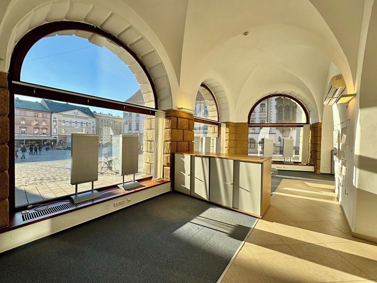 Pronájem komerčního prostoru, 201 m² (1 z 30)