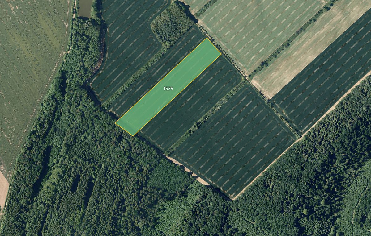 Prodej pole 29548 m², Věžky – fotka 1 z 3