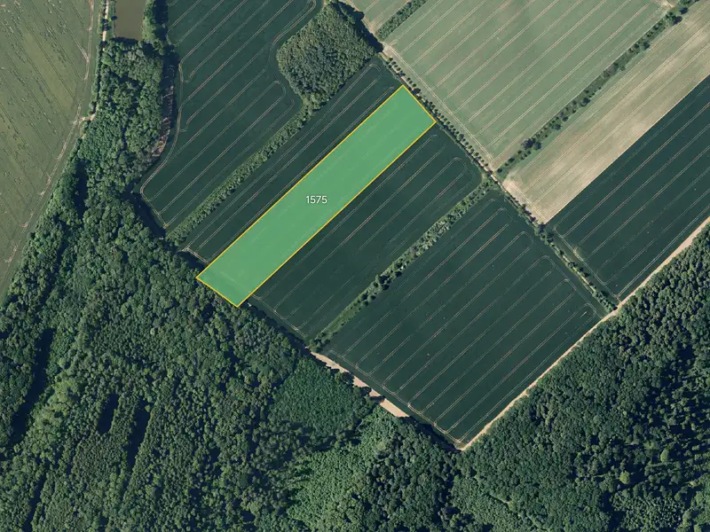 Prodej pole 29548 m², Věžky – náhled fotky 1