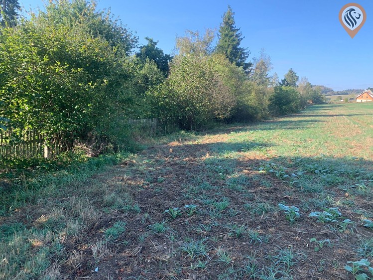 Prodej pozemku, 9 675 m² (14 z 30)