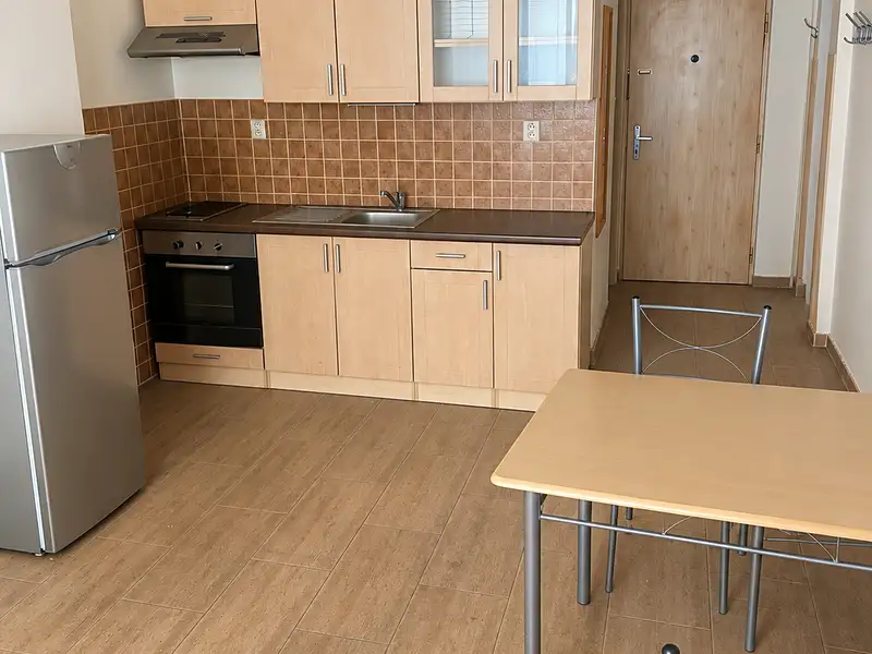 Prodej bytu 1+kk 33 m², Pardubice – náhled fotky 1