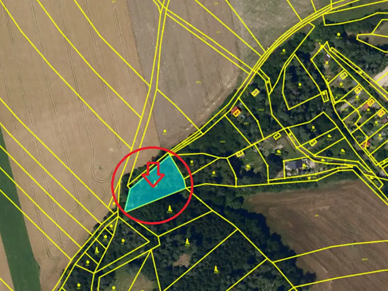Prodej lesa 1331 m², Skuteč – náhled fotky 3