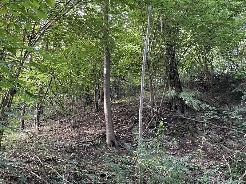 Prodej pozemku 50152 m², Útěchov – náhled fotky 3