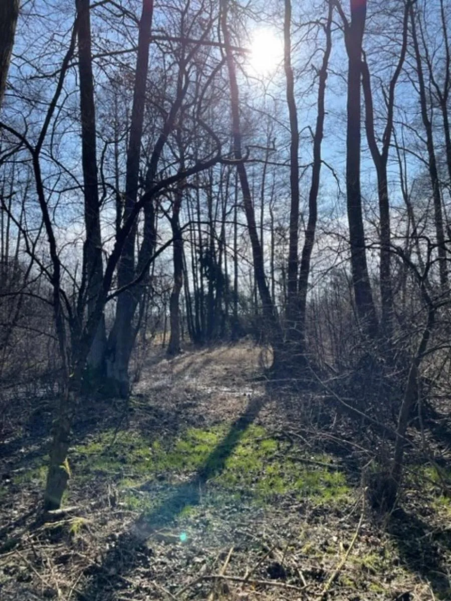Fotka 8 z 16