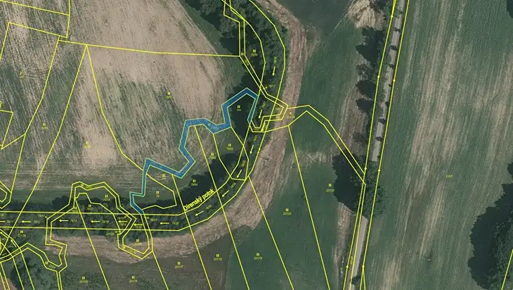 Dražba louky 24125 m², Přehořov – náhled fotky 3
