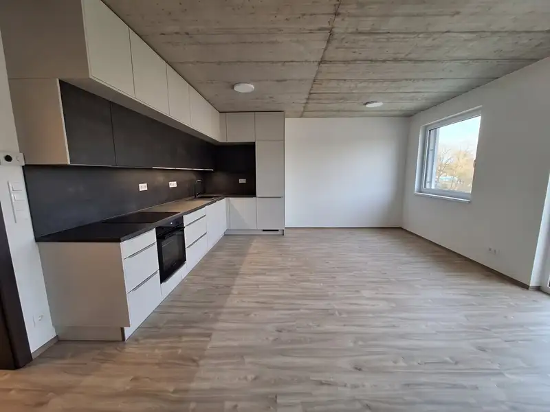 Pronájem bytu 3+kk 75 m², Liberec – náhled fotky 3