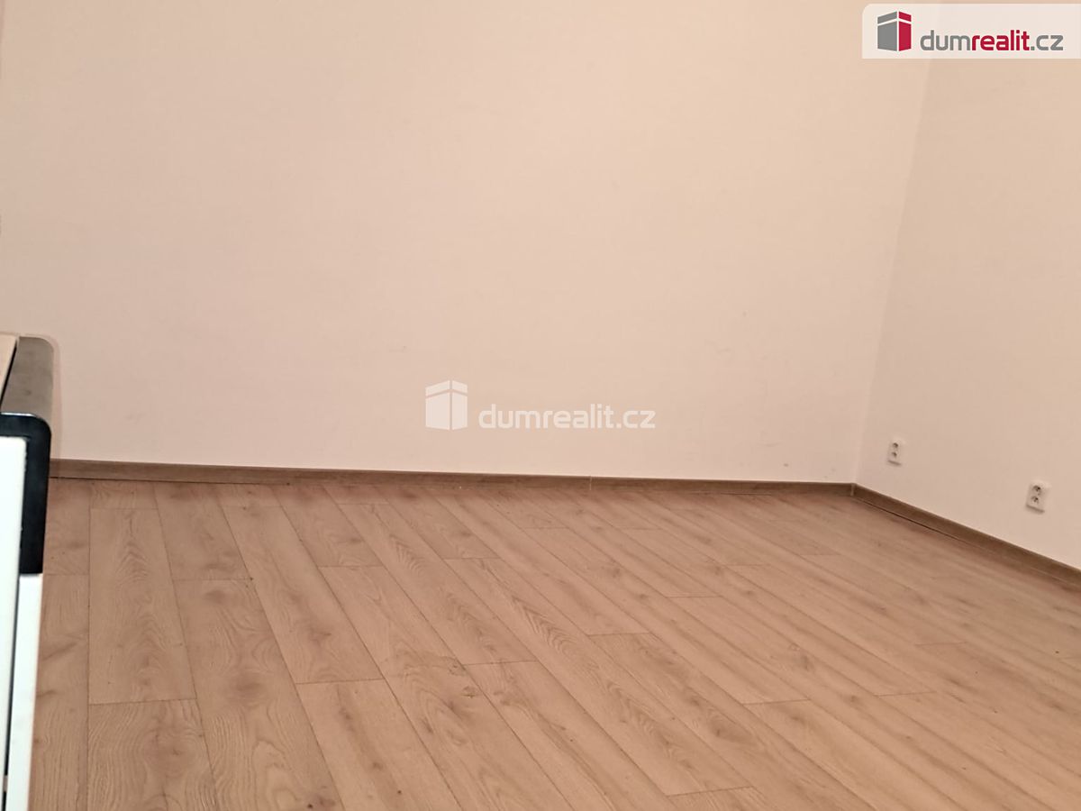Pronájem bytu atypický 20 m², Praha – fotka 1 z 3