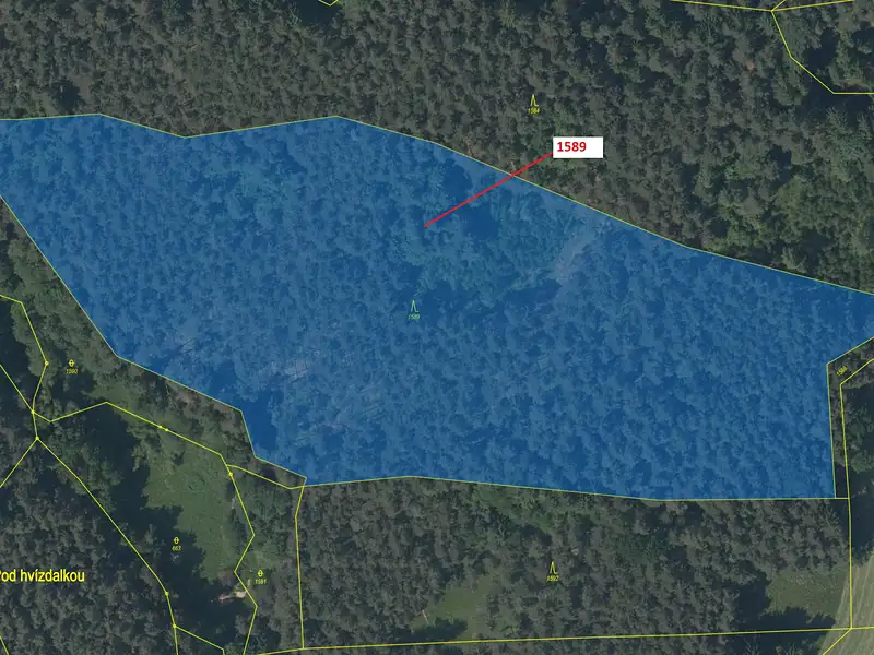 Dražba lesa 29098 m², Slavče – náhled fotky 2