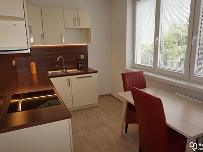 Pronájem bytu 3+1, 68 m² (3 z 24)