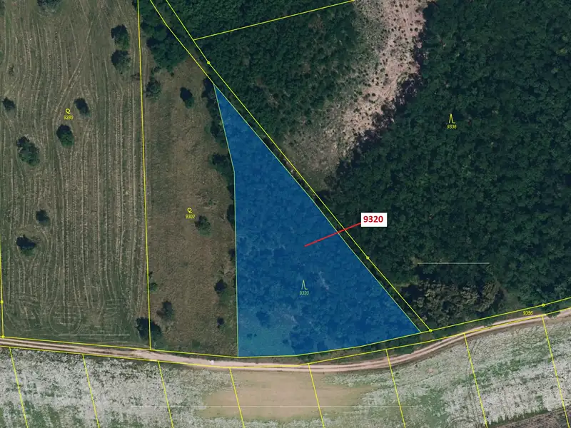 Dražba lesa 4862 m², Oleksovice – náhled fotky 2