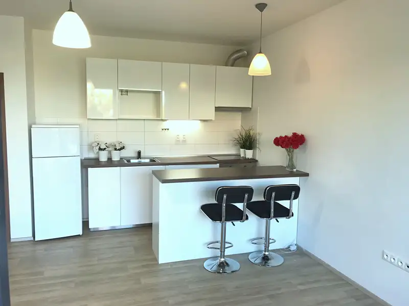 Pronájem bytu 1+kk 36 m², Olomouc – náhled fotky 2