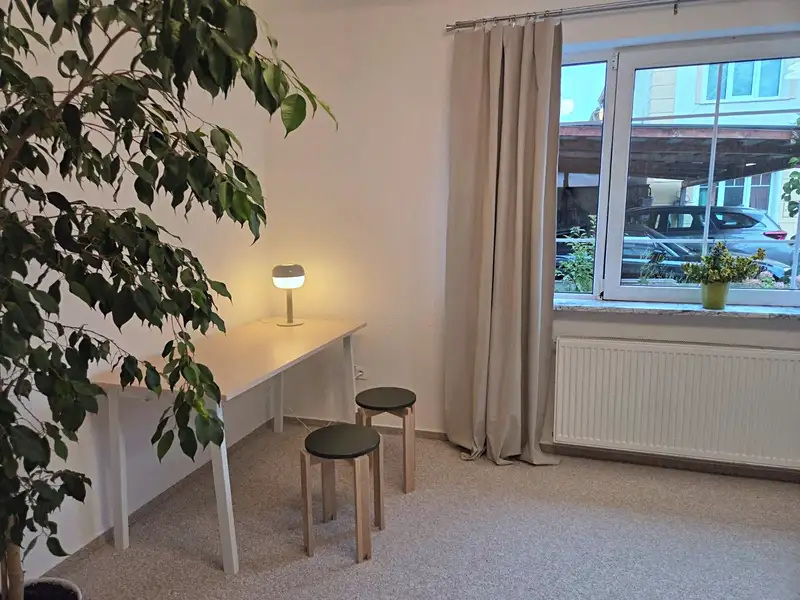 Pronájem bytu pokoje 24 m², Praha – náhled fotky 3