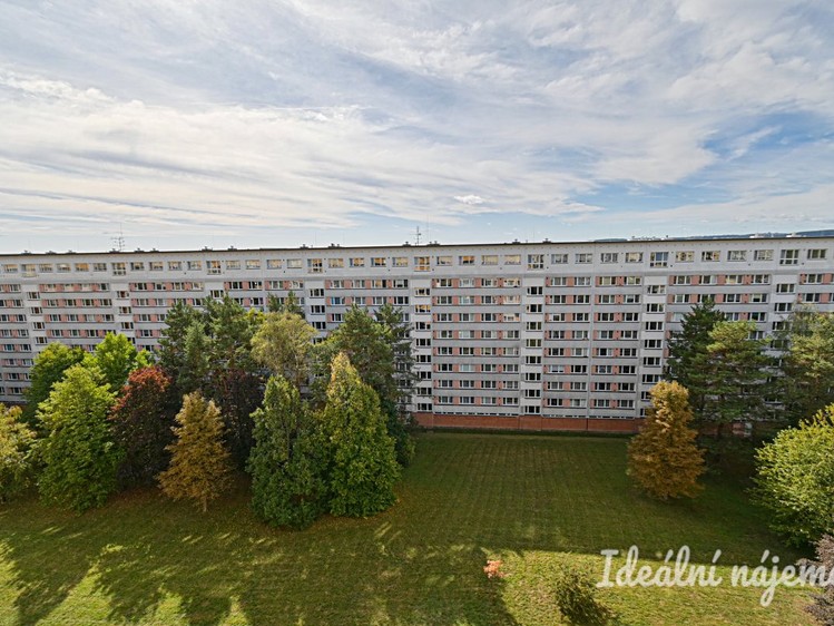 Ostatní
