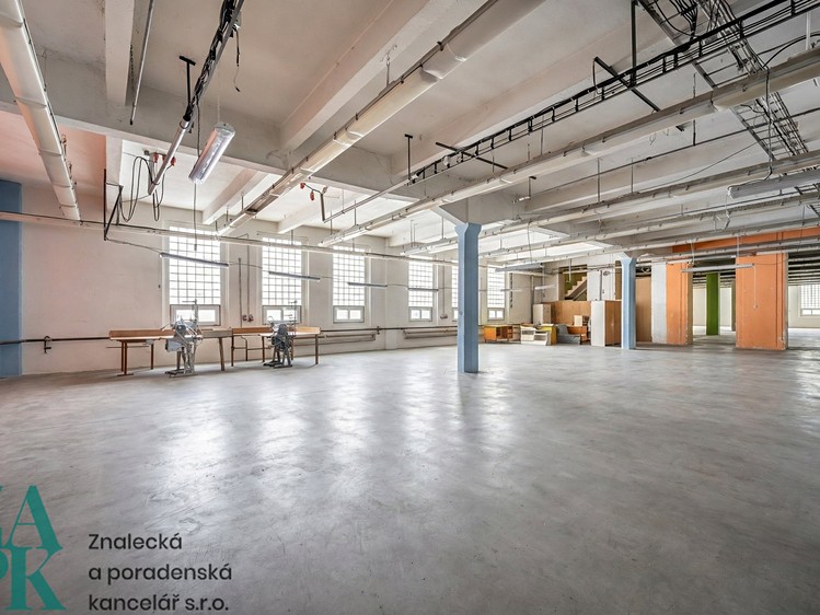 Gewerbefläche zur Miete, 2.069 m² (5 von 10)