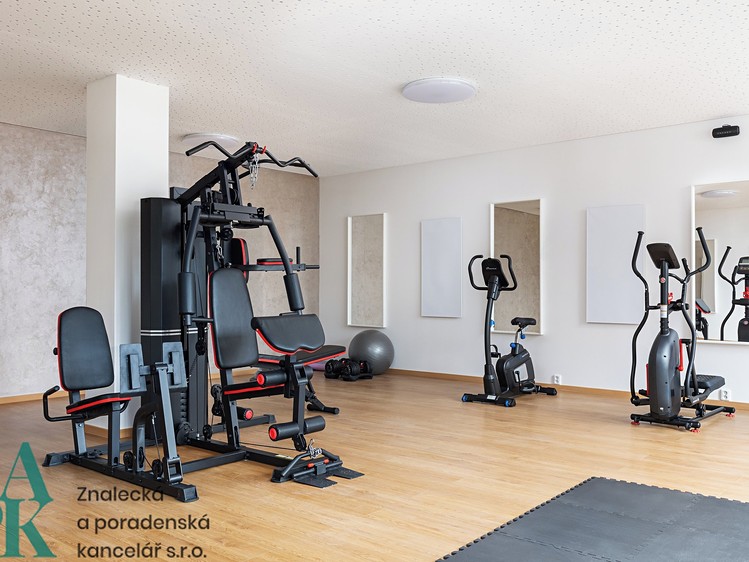 Pronájem bytu 1+kk, 22 m² (8 z 9)