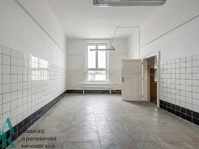 Pronájem komerčního prostoru, 173 m² (3 z 7)