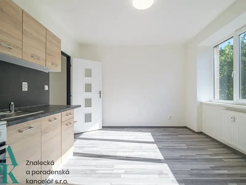 Pronájem bytu 1+1 38 m², Ústí nad Labem – náhled fotky 2