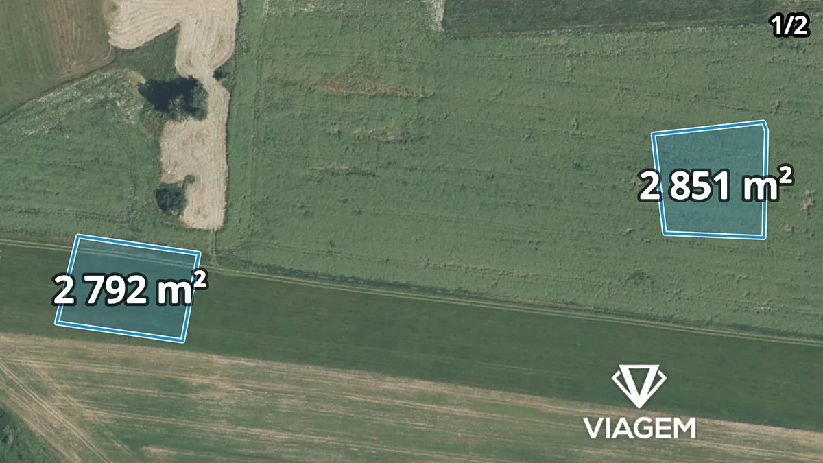 Prodej podílu 1/12 pole 832 m²