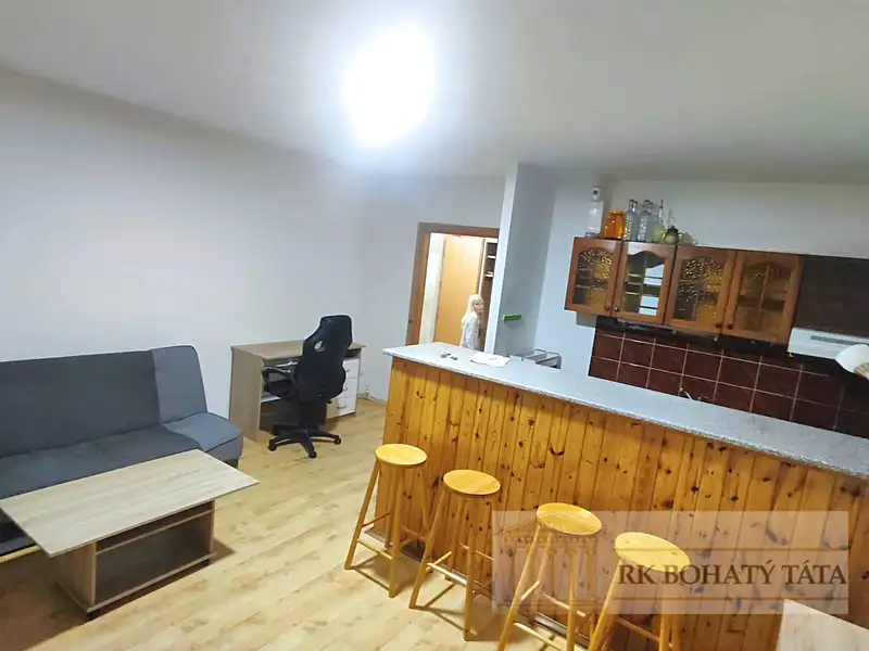 Pronájem bytu 2+kk 48 m², Ústí nad Labem – náhled fotky 2