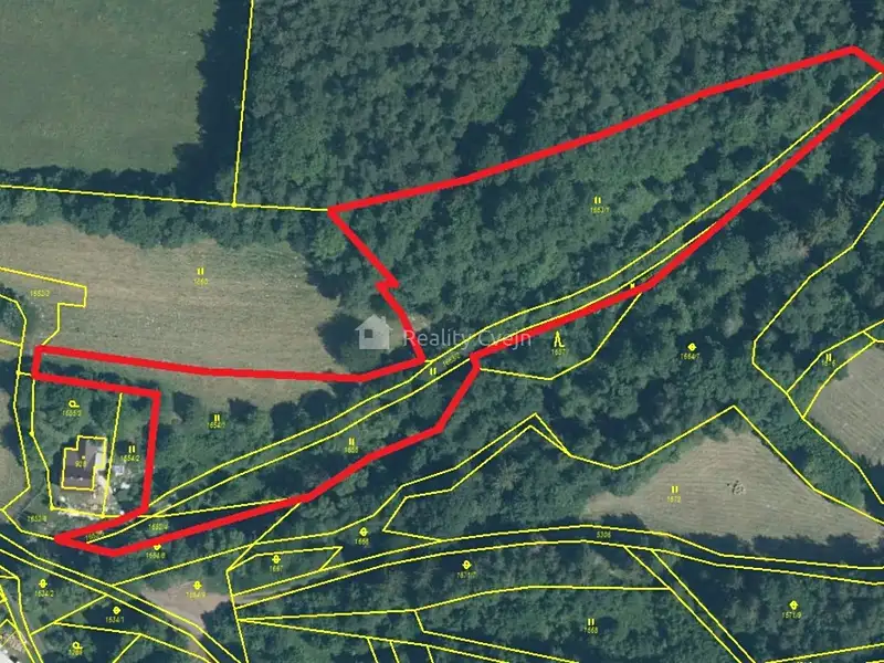 Prodej louky 8970 m², Růžďka – náhled fotky 2
