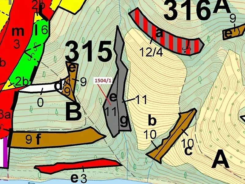 Dražba lesa 2626 m², Hovězí – náhled fotky 3