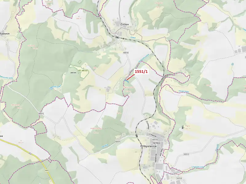Dražba lesa 2478 m², Přibyslavice – náhled fotky 1