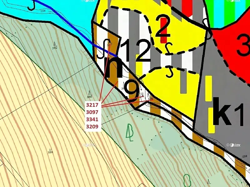 Dražba lesa 1649 m², Benešov u Semil – náhled fotky 3