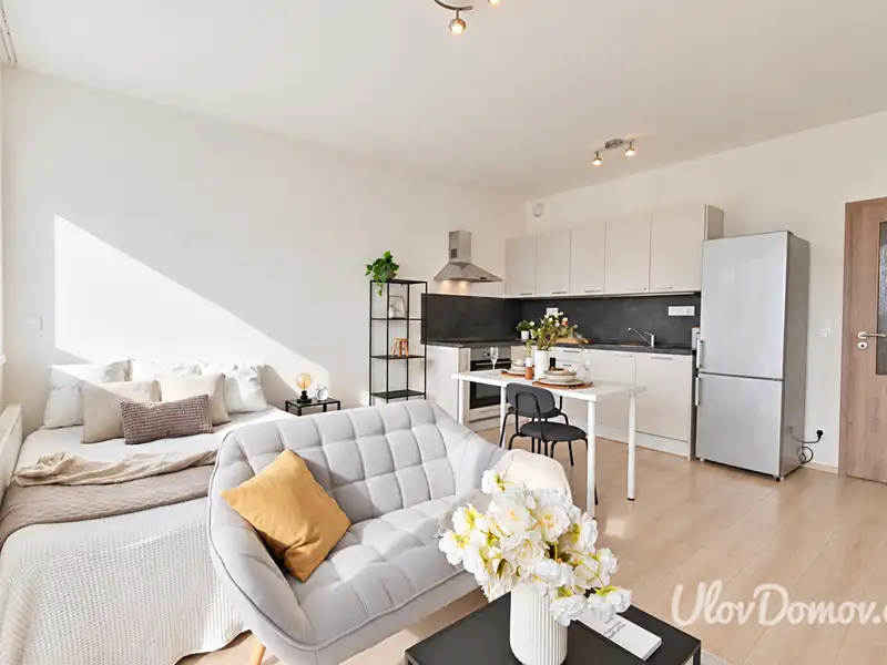 Prodej bytu 1+kk 33 m², Praha – náhled fotky 2
