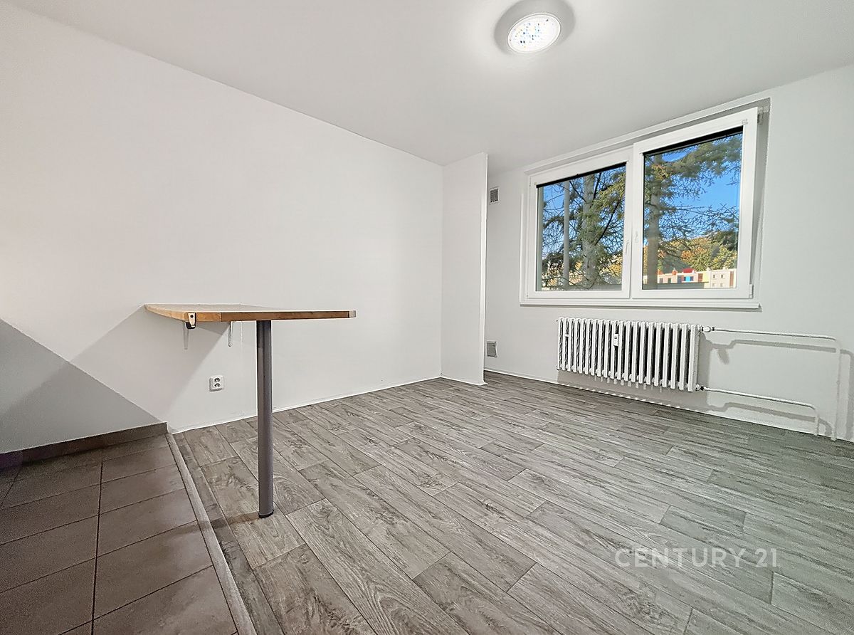 Pronájem bytu 1+kk 25 m², Brno – fotka 1 z 3
