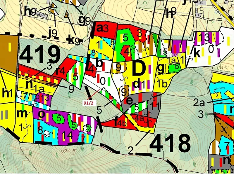 Dražba lesa 1363 m², Pačejov – náhled fotky 3