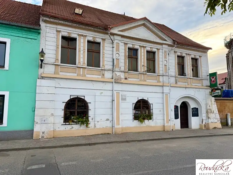 Prodej vícegeneračního domu 580 m², pozemek 714 m², Roudnice nad Labem – náhled fotky 1