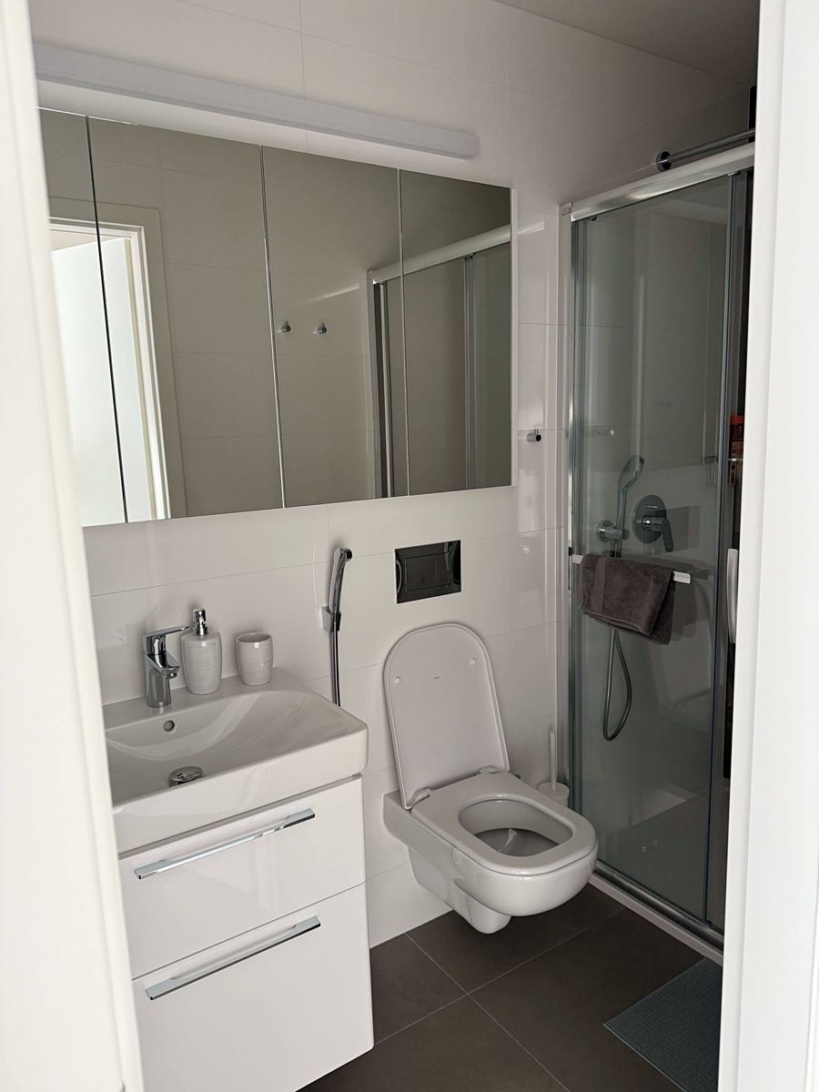 Pronájem bytu 1+kk 50 m² – fotografie 5