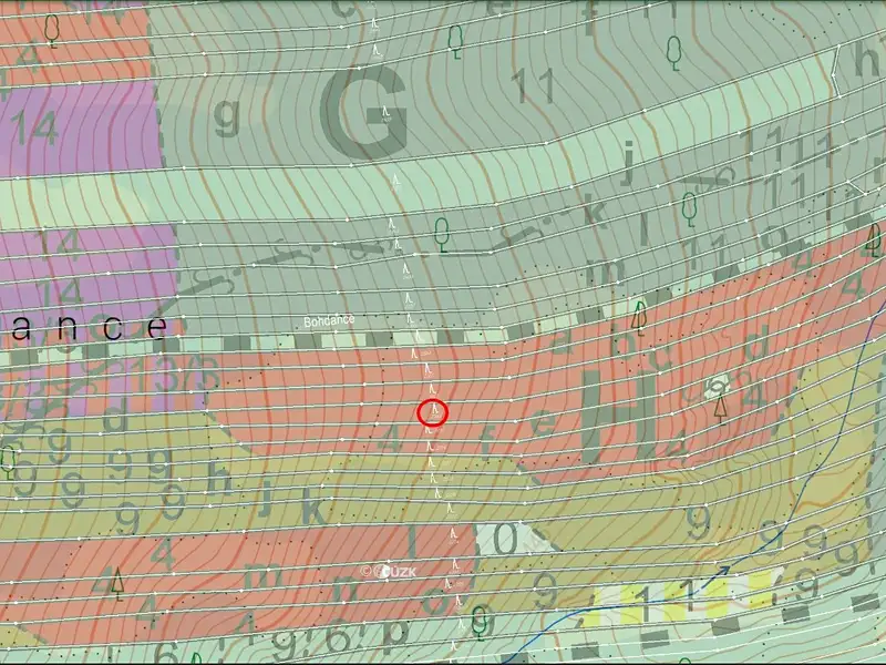 Prodej lesa 4599 m², Slavičín – náhled fotky 3