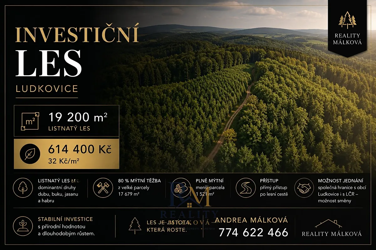 Prodej lesa 19200 m²