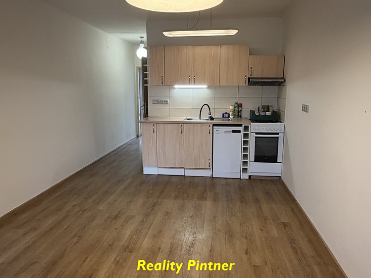 Wohnung 1+1 zur Miete, 44 m² (2 von 18)
