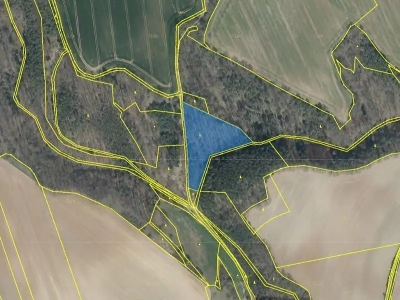 Dražba lesa 8141 m², Snědovice – náhled fotky 2