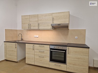 Wohnung 1+kk zur Miete, 52 m² (2 von 11)