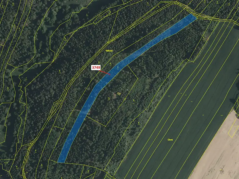 Dražba lesa 9999 m², Strmilov – náhled fotky 2